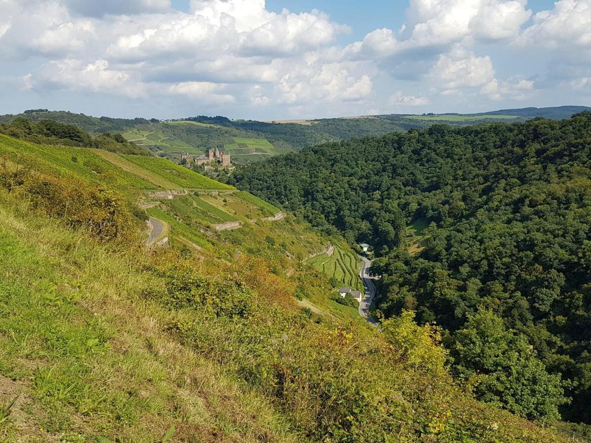 Rhine Pearl Hideaways Lejlighed Oberwesel Eksteriør billede