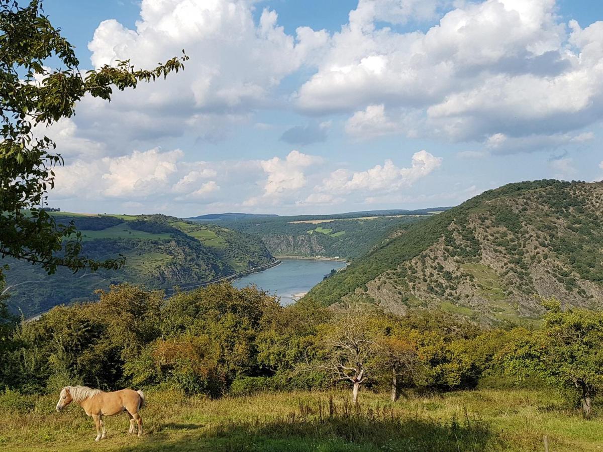 Rhine Pearl Hideaways Lejlighed Oberwesel Eksteriør billede