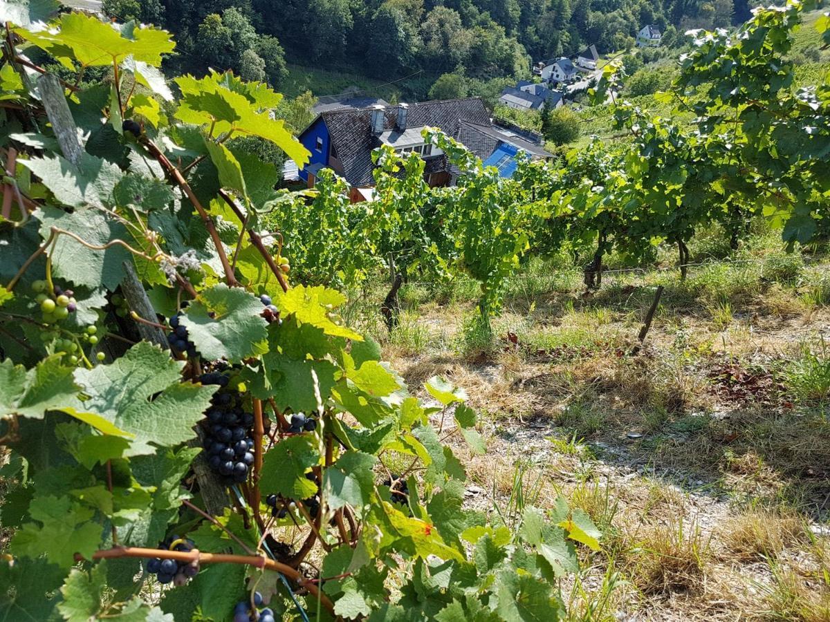 Rhine Pearl Hideaways Lejlighed Oberwesel Eksteriør billede