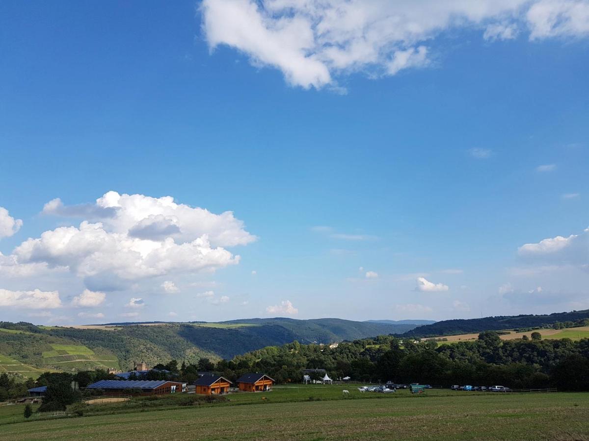 Rhine Pearl Hideaways Lejlighed Oberwesel Eksteriør billede